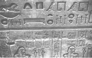Photo »1178« aus dem Edfu-Projekt.