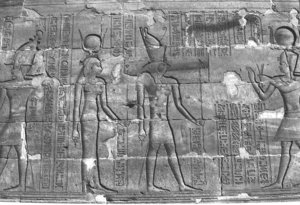 Photo »258« aus dem Edfu-Projekt.