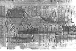 Photo »366« aus dem Edfu-Projekt.