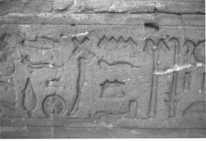 Photo »3805« aus dem Edfu-Projekt.