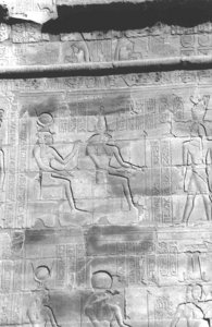 Photo »4401« aus dem Edfu-Projekt.