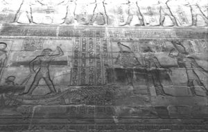 Photo »1406« aus dem Edfu-Projekt.