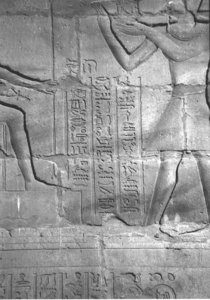 Photo »4370« of the Edfu-Project.