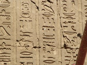 Photo »D05_1311« aus dem Edfu-Projekt.