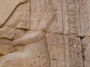 Photo »D05_1774« aus dem Edfu-Projekt.