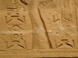 Photo »D05_2112« aus dem Edfu-Projekt.