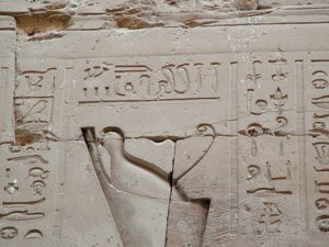 Photo »D05_3559« aus dem Edfu-Projekt.