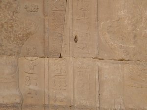 Photo »D05_4343« of the Edfu-Project.