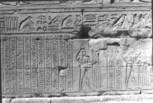 Photo »1441« aus dem Edfu-Projekt.