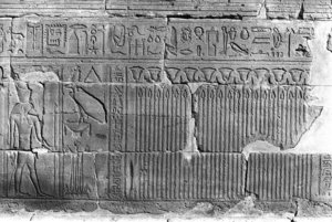 Photo »217« aus dem Edfu-Projekt.
