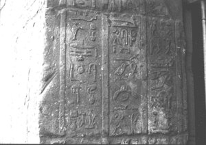 Photo »3176« aus dem Edfu-Projekt.