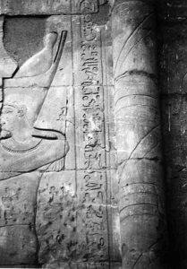 Photo »4151« aus dem Edfu-Projekt.