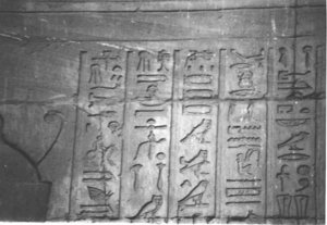 Photo »4161« aus dem Edfu-Projekt.