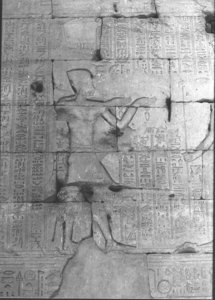 Photo »801« of the Edfu-Project.