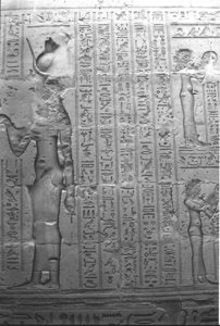 Photo »1368« aus dem Edfu-Projekt.