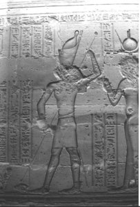 Photo »1373« aus dem Edfu-Projekt.