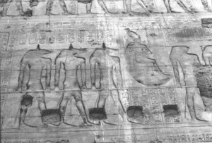 Photo »1526« aus dem Edfu-Projekt.