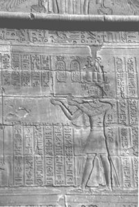 Photo »4275« aus dem Edfu-Projekt.
