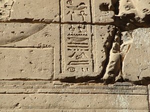 Photo »D05_1117« aus dem Edfu-Projekt.