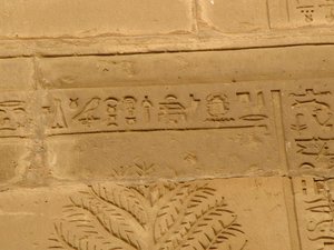 Photo »D05_2113« aus dem Edfu-Projekt.