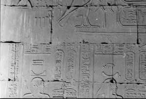 Photo »38« of the Edfu-Project.