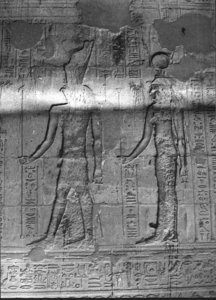 Photo »2213« aus dem Edfu-Projekt.