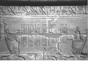 Photo »4315« aus dem Edfu-Projekt.