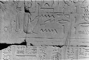 Photo »25« of the Edfu-Project.
