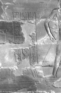 Photo »4188« aus dem Edfu-Projekt.
