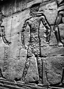 Photo »2953« aus dem Edfu-Projekt.