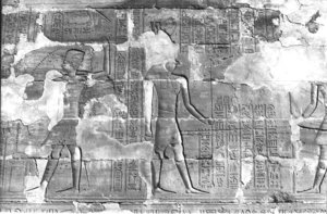 Photo »314« aus dem Edfu-Projekt.