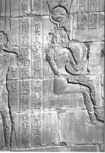 Photo »4254« aus dem Edfu-Projekt.