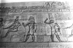 Photo »1124« aus dem Edfu-Projekt.