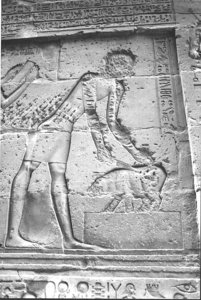 Photo »1328« aus dem Edfu-Projekt.