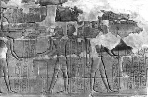 Photo »317« aus dem Edfu-Projekt.