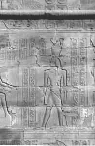 Photo »4402« aus dem Edfu-Projekt.