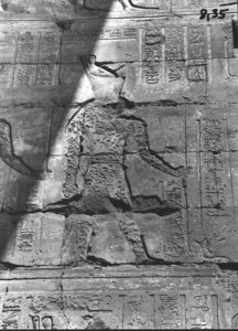 Photo »561« of the Edfu-Project.