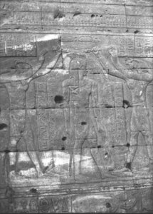 Photo »2986« of the Edfu-Project.