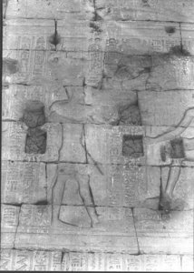 Photo »925« of the Edfu-Project.
