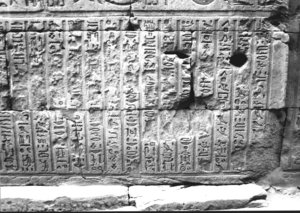 Photo »2942« aus dem Edfu-Projekt.