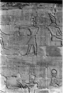 Photo »416« aus dem Edfu-Projekt.