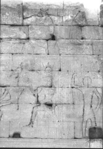 Photo »977« aus dem Edfu-Projekt.