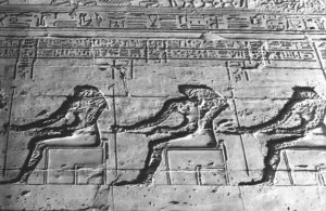 Photo »1133« aus dem Edfu-Projekt.