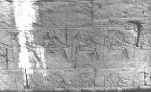 Photo »3075« aus dem Edfu-Projekt.