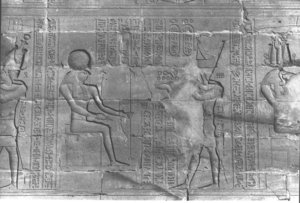 Photo »344« aus dem Edfu-Projekt.