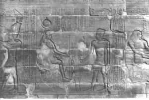 Photo »352« aus dem Edfu-Projekt.