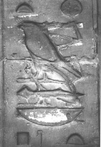 Photo »3907« of the Edfu-Project.