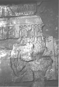Photo »3931« aus dem Edfu-Projekt.