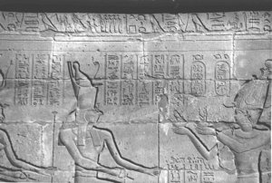 Photo »4290« aus dem Edfu-Projekt.