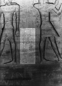 Photo »2929« aus dem Edfu-Projekt.